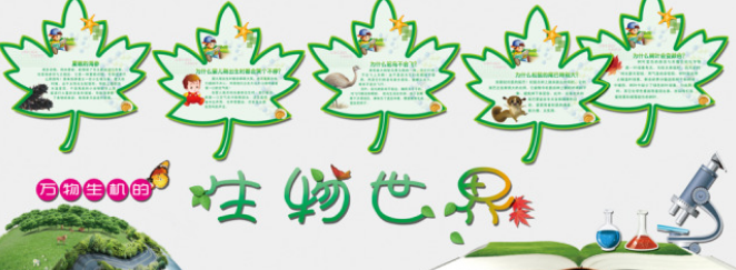 校園文化墻設計圖