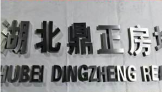 前臺背景墻招牌不銹鋼字玫瑰金拉絲精工