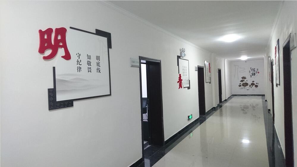 公司走廊特色文化墻制作效果圖