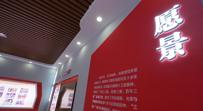 企業(yè)公司文化墻設(shè)計(jì)制作8